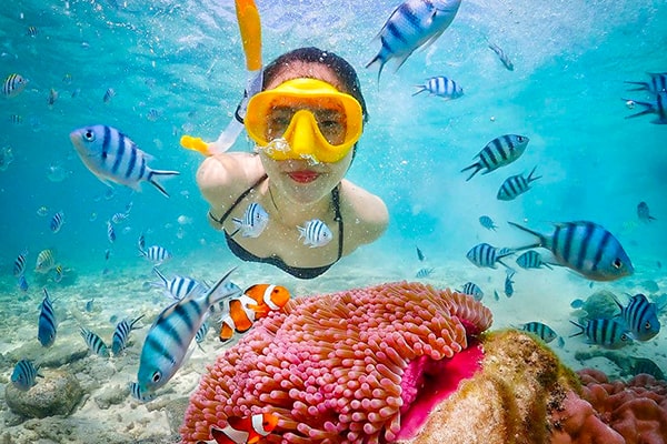 Snorkeling At Trikora Beach